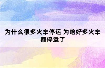 为什么很多火车停运 为啥好多火车都停运了